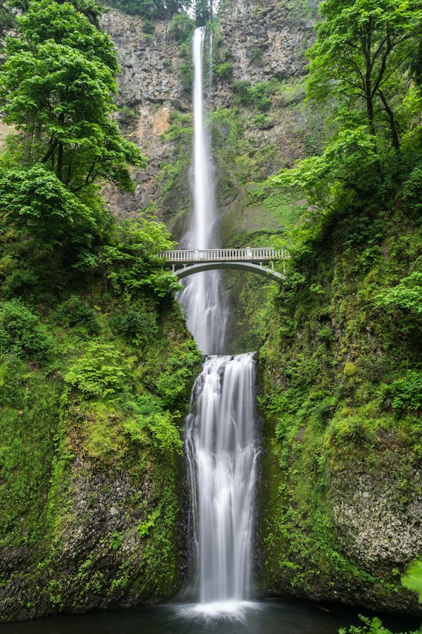 Waterfall ecology